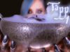 ASMR Mesmerizing Tapping (NO TALKING)