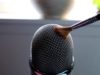 ASMR Mic Brushing, Stippling, Tapping + Fading Bird Sounds (No Talking) Malay