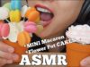 ASMR Mini MACARON + Flower Pot Cake (EATING SOUNDS) NO TALKING | SAS-ASMR