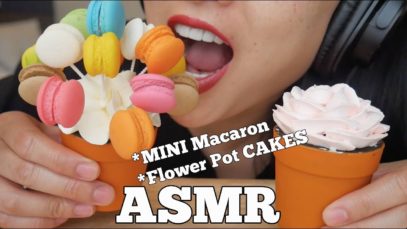 ASMR Mini MACARON + Flower Pot Cake (EATING SOUNDS) NO TALKING | SAS-ASMR