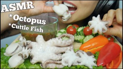 ASMR Octopus + Cuttle Fish (EXTREME CHEWY EATING SOUNDS) No Talking | SAS-ASMR