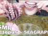 ASMR Octopus + Seagrapes + Crunchy GINGER (EATING SOUNDS)  | SAS-ASMR