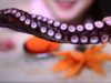 ASMR Octopus TAKO SASHIMI and TOBIKO EGGS , eating sound  | LINH-ASMR