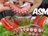 ASMR Octopus TAKO SASHIMI (SAVAGE EXTREME CHEWY EATING SOUNDS) No Talking | SAS-ASMR