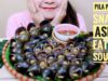 ASMR Pila polita SNAILS,EATING SOUNDS,mukbang|LINH-ASMR