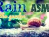ASMR RAIN ☔Relaxing Sounds of Rain in the Garden (Assortment) ?Nature