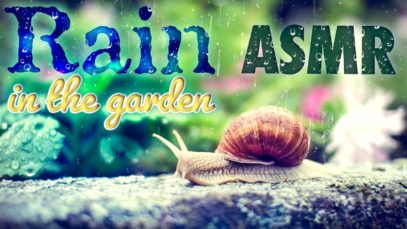 ASMR RAIN ☔Relaxing Sounds of Rain in the Garden (Assortment) ?Nature