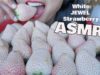 ASMR Rare *WHITE JEWEL Strawberry (EATING SOUNDS) NO TALKING | SAS-ASMR