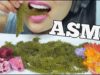 ASMR RAW SEAGRAPES (EXTREME CRUCH EATING SOUNDS) NO TALKING | SAS-ASMR