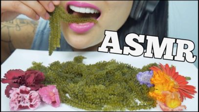 ASMR RAW SEAGRAPES (EXTREME CRUCH EATING SOUNDS) NO TALKING | SAS-ASMR