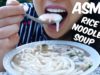 ASMR Rice NOODLE Soup (Eating Sounds) NO TALKING | SAS-ASMR