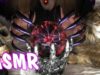 ASMR ROLEPLAY. Halloween WITCH role playing tingles massage & whispering. Best ASMR triggers ?