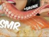 ASMR SALMON & OCTOPUS SASHIMI (RAW SAVAGE Extreme Soft Chewy EATING SOUNDS) No Talking | SAS-ASMR
