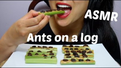 ASMR Satisfying Crunchy Celery Snacks (Ants on a log EATING SOUNDS) No Talking | SAS-ASMR