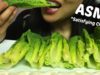 ASMR Satisfying CRUNCHY LETTUCE (EATING SOUNDS) | SAS-ASMR