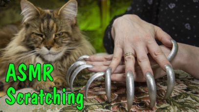 ASMR SCRATCHING NO TALKING LONG NAILS & CAT