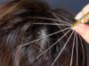 ASMR Sensitive Hair and Scalp (4K 60fps, Brushing, Massage)