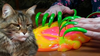 ASMR SLIME triggers & tingles asmr sound slimes buble & FUNNY CAT