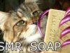 ASMR sound trigger tapping scratching cutting soap & FUNNY CAT