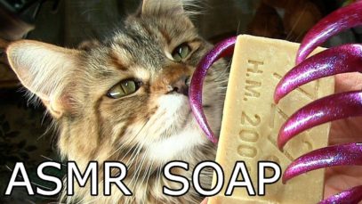 ASMR sound trigger tapping scratching cutting soap & FUNNY CAT