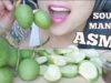 ASMR SOUR MANGO มะม่วงเปรี้ยวน้ำปลาหวาน (CRUNCHY EATING SOUNDS) NO TALKING | SAS-ASMR