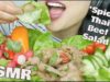ASMR Spicy Thai Beef Salad (EATING SOUNDS) NO TALKING | SAS-ASMR