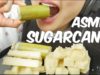 ASMR SUGARCANE (EXTREME JUICY EATING SOUNDS) No Talking | SAS-ASMR PART 2.