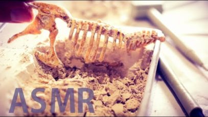 ASMR T-Rex Excavation ⛏️Ep #2 “Three Bones Extracted” – NO TALKING