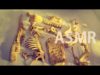 ASMR T-Rex Excavation ⛏️Ep #4 “Last Pieces & Assembling” – NO TALKING