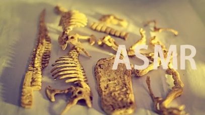 ASMR T-Rex Excavation ⛏️Ep #4 “Last Pieces & Assembling” – NO TALKING