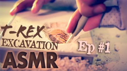 ASMR T-Rex Excavation ⛏️EP#1 ?NO TALKING for SLEEP