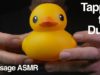 ASMR Tappin the Duck – Tapping Sounds – No Talking