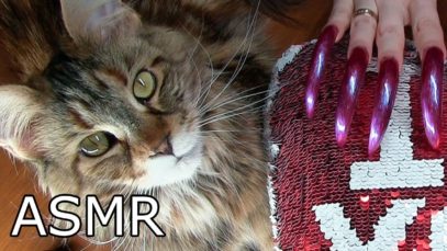 ASMR triggers for sleep Sound nail scratching & tapping PILLOW & FUNNY CAT