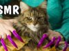 ASMR TRIGGERS FOR SLEEP TINGLES FROM FUNNY CAT VASILISA