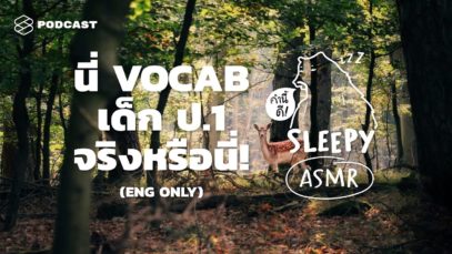 ASMR | นี่หรือ VOCAB เด็ก ป.1! #พี่อึ้งมาก (JUNGLE V.) ENG ONLY | คำนี้ดี SLEEPY EP.7A