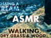 ASMR WALKING & Crossing a STREAM (Dry Crackling Wood Sticks & Grass / Water) – ICELAND NATURE