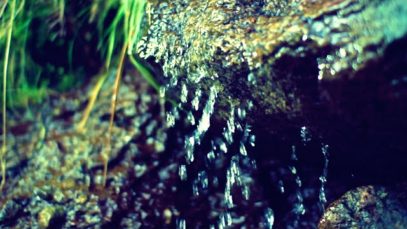 [ASMR] WATER flowing in Nature (from big CREEK down to small DROPS)