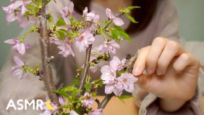 [ASMR] お花見しながら囁き雑談? Whisper Chit Chat