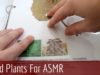 ASMR Whispering – Show & Tell (Handmade Dried Flower book)