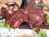 ASMR WHOLE GIANT OCTOPUS (SAVAGE EATING SOUNDS) NO TALKING PART 2 | SAS-ASMR