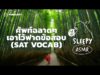 ASMR | ศัพท์ฉลาดๆ เอาไว้ฟาดข้อสอบ | SAT VOCAB (Bamboo V.) | คำนี้ดี SLEEPY EP.30