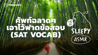 ASMR | ศัพท์ฉลาดๆ เอาไว้ฟาดข้อสอบ | SAT VOCAB (Bamboo V.) | คำนี้ดี SLEEPY EP.30