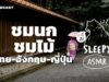 ASMR | ชมนก ชมไม้: ไทย-อังกฤษ-ญี่ปุ่น (Japan Rain Forest V.) | คำนี้ดี SLEEPY EP.21