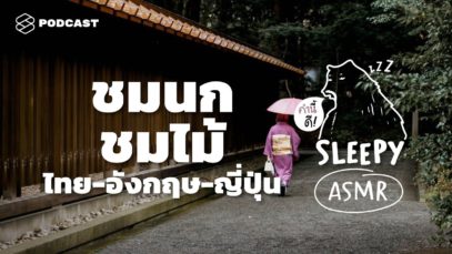 ASMR | ชมนก ชมไม้: ไทย-อังกฤษ-ญี่ปุ่น (Japan Rain Forest V.) | คำนี้ดี SLEEPY EP.21