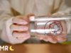 [囁き声-ASMR] 色々なガラス製品をタッピングする音?? Glass Sounds