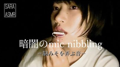 ［ASMR］mic nibblingで脳みそを弄ぶ。［マウスサウンド-mouth sound］