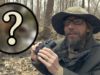 ASMR’s ASMR for Woodland Creatures!