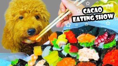 CACAO ASMR EATING SUSHI ( SALMON X FRIED PORK | DOG EATING SOUNDS | LINH-ASMR