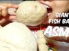 Giant FISH BALLS (EATING SOUNDS) No Talking | SAS-ASMR