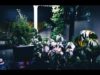Homemade Hydroponic System – ASMR Style